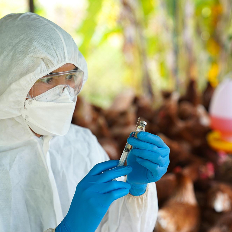 vietnam poultry vaccines market