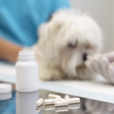 veterinary api market research services in vietnam