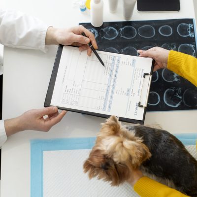 vietnam veterinary api market